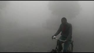 Watch Today Fog in Delhi Video