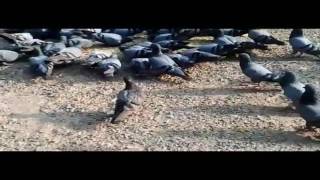 Watch Subscribe This Channel For Nature Seen Also Video