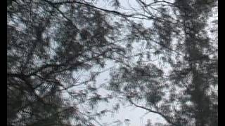 Watch Delhi Nature Today  12 Video