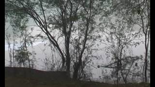 Watch Delhi Nature Today  9 Video