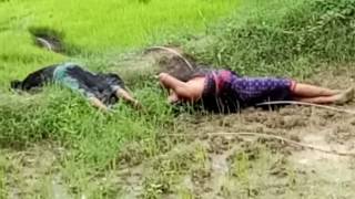 Watch #Death Due to 10 KV Electric Current #Balangir # Bharsuja Video