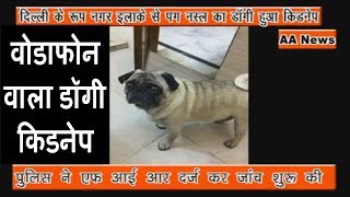 Watch à¤µà¥‹à¤¡à¤¾à¤«à¥‹à¤¨ à¤µà¤¾à¤²à¤¾ à¤¡à¥‰à¤—à¥€ à¤•à¤¿à¤¡à¤¨à¥‡à¤ª / Dogi Theft in Delhi Video