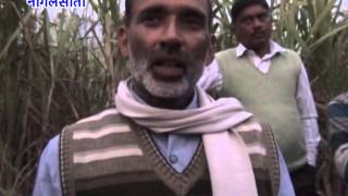 Watch NEWS ABHI TAK NANGALSOTI 29.11.15 Video