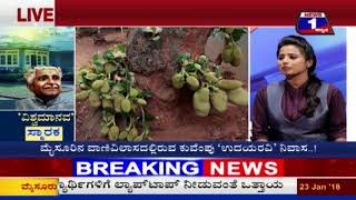 Watch News 1 Kannada Discussion | â€˜Vishwa Maanavaâ€™ Smaraka..!(â€˜à²µà²¿à²¶à³à²µà²®à²¾à²¨à²µâ€™ à²¸à³à²®à²¾à²°à²•..!) Part 02 Video