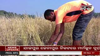 Watch A Special Story On Indian Unified Cricket Team Captain Pravat Baral Video