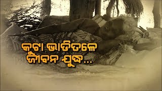 Watch KEONJHAR SPECIAL STORY_KUTA VADI TALE JIBANA Video