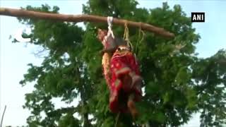 Watch Tribe in Odisha 'celebrates' Udaan festival Video