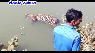 Watch NEWS ABHI TAK SHERKOT/SEOHARA 21.02.16 Video
