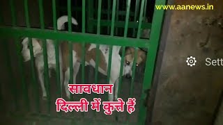 Watch Shalimar Bagh Straw Dogs Video