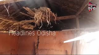 Watch BADA DUNIARE HRUDAYA CHHOTA, A Special Story From Harichandanpur Video