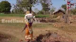 Watch Watch How 12 Tribal Lady started Green Revolution In Keonjhar Video