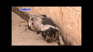 Watch NEWS ABHI TAK SEOHARA 19.04.16 Video