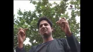 Watch Akbar-E-Aazam 2004 - Khandeshi Drama - Part  3 - Sumeet Music Video