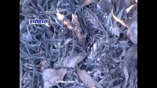 Watch NEWS ABHI TAK SEOHARA 24.04.16 Video