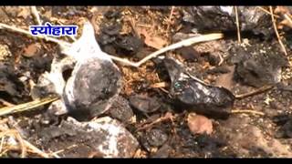Watch NEWS ABHI TAK SEOHARA 02.05.16 Video