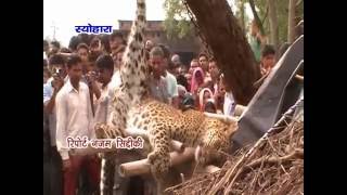 Watch NEWS ABHI TAK SEOHARA 23.05.16 Video