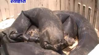 Watch NEWS ABHI TAK SEOHARA 23.05.16. Video