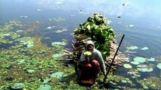 Watch Integral India: Peace for Development Video