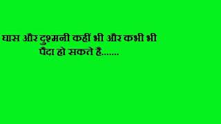 Watch KOYLA   Hindi movie dialogues Video