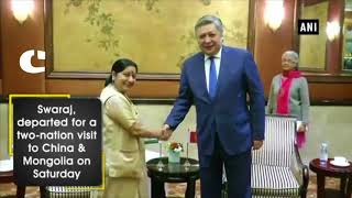 Watch Sushma Swaraj met Kyrgyzstan's foreign Minister Erlan Abdyldaev in Beijing Video