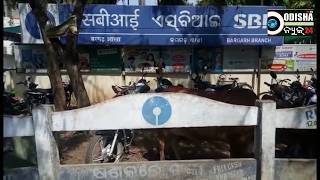 Watch BJD Strike infront of SBI, Barpali || Non Availability of Cash in ATM Video