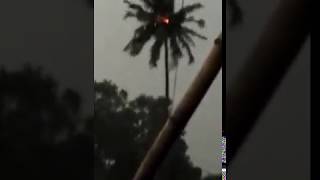 Watch Live visual of Electrude on a Tree || viral best news Video