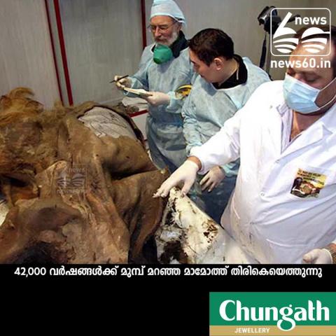 Watch Woolly mammoths could come back to life and SAVE the Arctic Video