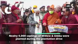 Watch Massive tree plantation drive launched in Leh Video