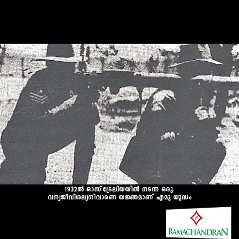 Watch The Great Emu War Of 1932 Video