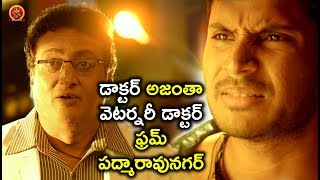 Watch à°¡à°¾à°•à±à°Ÿà°°à± à°…à°œà°‚à°¤à°¾ à°µà±†à°Ÿà°°à±à°¨à°°à±€ à°¡à°¾à°•à±à°Ÿà°°à± à°«à±à°°à°®à± à°ªà°¦à±à°®à°¾à°°à°¾à°µà±à°¨à°—à°°à± - Prudhvi Comedy Scenes - Bhavani HD Movies Video