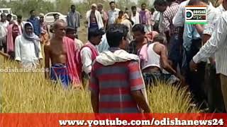 Watch After heavy Rain || Dunguripali || Bargarh Video