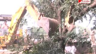 Watch BDA building crash Video