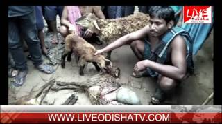 Watch ATANKA AT NIALI Video