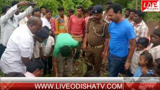 Watch KOKSARA BANA MAHOTSAV Video