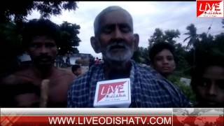 Watch BHANJANAGAR SHEEP DEATH Video