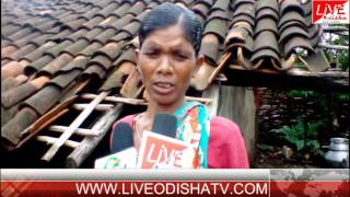 Watch KOKSARA FLOOD SITUATION Video