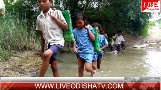 Watch BINIKA JHARAPADA ROAD PROBLEM Video