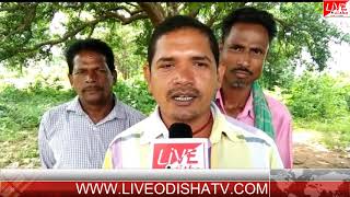 Watch BINIKA BISALPALI SUB STATION PROBLEM Video