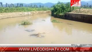 Watch POLSARA CANEL | Live Odisha News Video