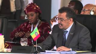 Watch Proceedings of Foreign Ministers Meeting, India Africa Part 5 Video