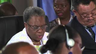 Watch Proceedings of Foreign Ministers Meeting, India Africa Part 7 Video