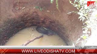 Watch BINIKI BARAHA ATTACK Video