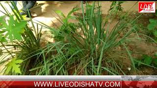 Watch SUBARNAPUR BRUNDABAN AASRAM Video