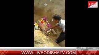 Watch BRAJRAJNAGAR ELEPHANT DEAD Video