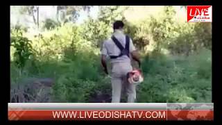 Watch Mohana Police Action Video