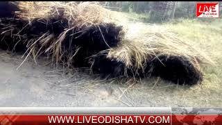Watch Polasara Agnikanda Video