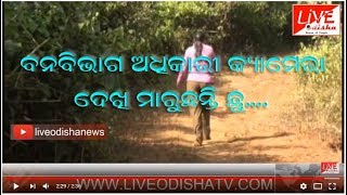Watch Special Report  ''Kampa'' Keonjhar Project Video