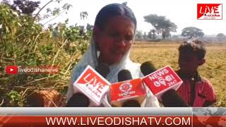 Watch Koksara Water Problem Video
