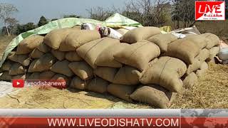 Watch Kalahandi Crop Mandi Video