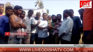 Watch Polsara volleyball Match Video